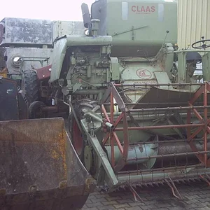 IHC 955