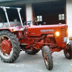 IHC 955