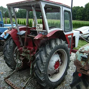 IHC 955