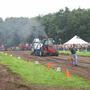 IHC946