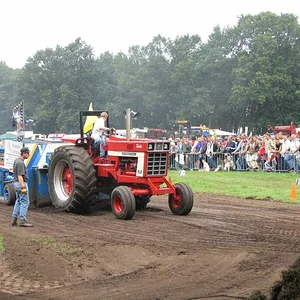IHC 946