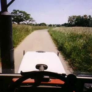 Falko