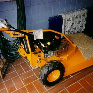 Falko