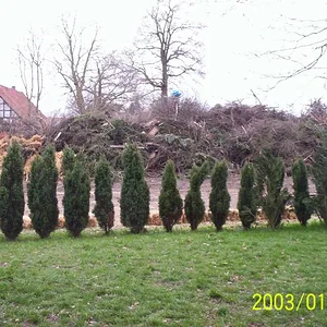 Osterfeuer 06