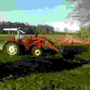 Markus D436