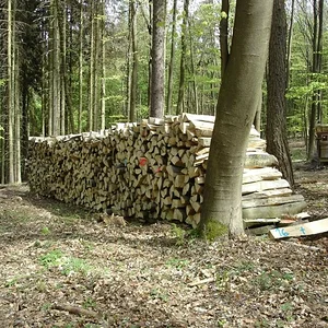 Matthias-IH353