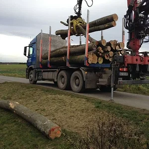 Matthias-IH353
