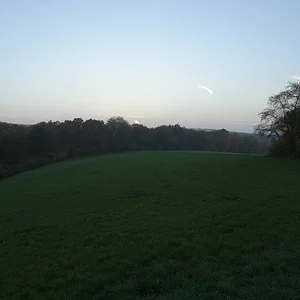 Matthias-IH353