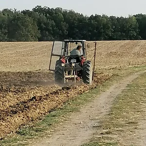 Case833Av
