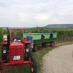 frasch67