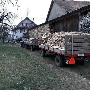 Brennholz machen