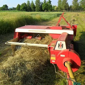 IHC 440