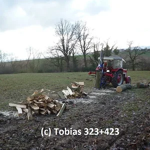 Tobias