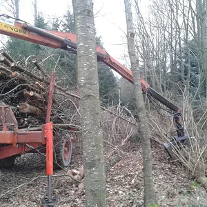 Wiedermal im Holz