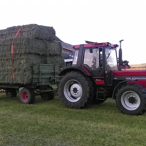 Öhmd 2016 heim bringen