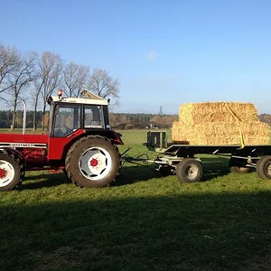 IHC 844 AS