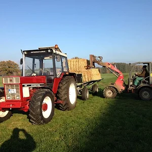 IHC 844 AS