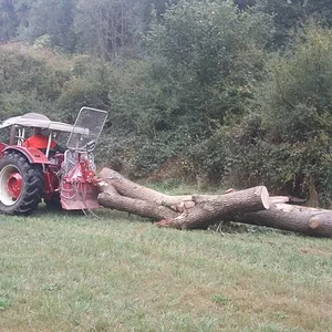 Holz rücken