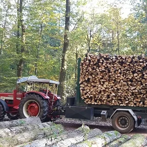 Beim Holz machen