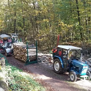Beim Holz machen