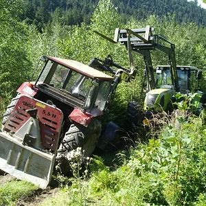 Schorsch
