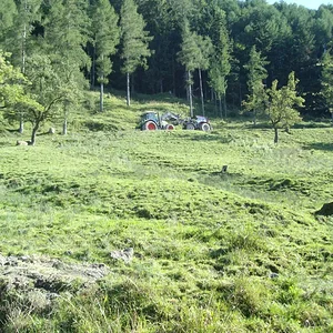 Schorsch