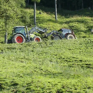 Schorsch