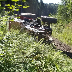 Schorsch