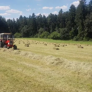 IHC 433&633