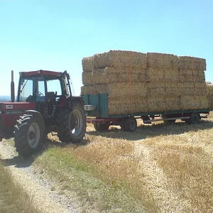 Alex 946