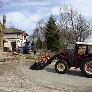 Baumschnitt