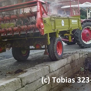 Tobias