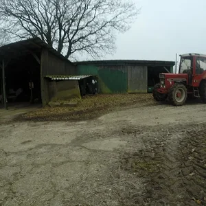 Brennholz Fahren mit 844.