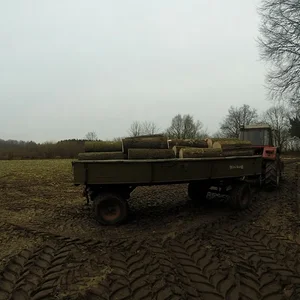 Brennholz Fahren mit 844.