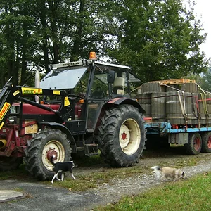 ihc733