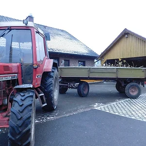 Busch weg Fahren