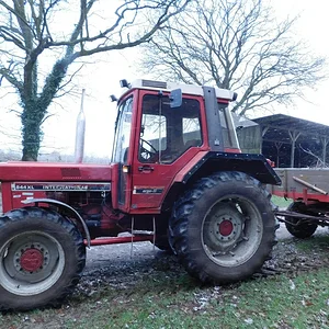 Busch weg Fahren