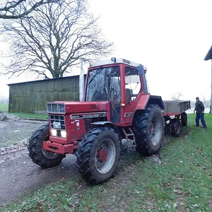 Busch weg Fahren