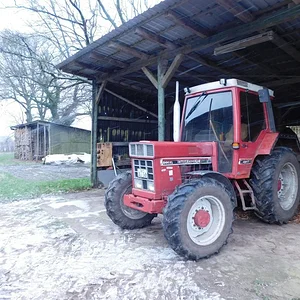 Busch weg Fahren