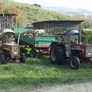 353 und 624 S beim Holz machen