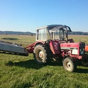 Letzter Schnitt