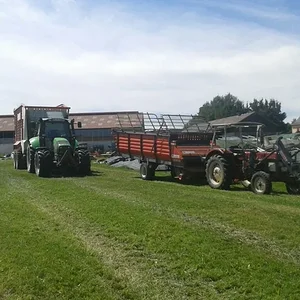 ihc 433 3. silage 2015