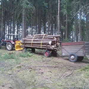 ihc 433 beim brennholz holen