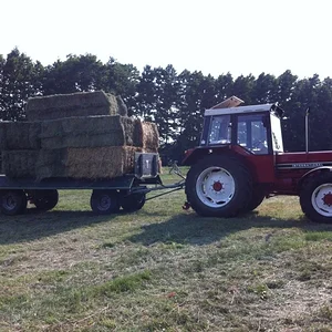 IHC 844 AS