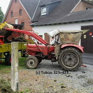 Tobias