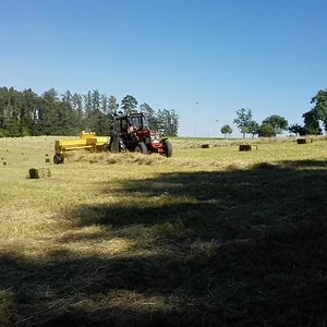 IHC433&633