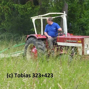 Tobias