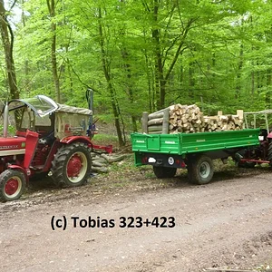 Tobias