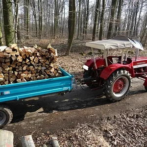 Matthias-IH353
