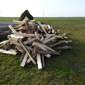 Matthias-IH353